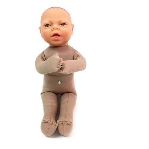 Augļa modelis