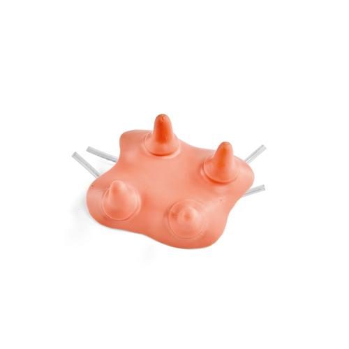 Hereford pupu komplekts