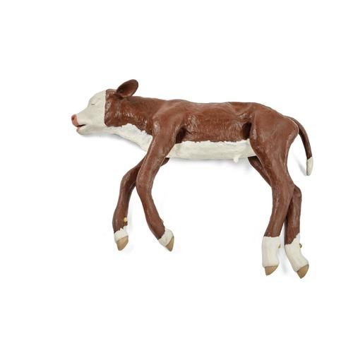 Hereford distocijas teļa modelis, brūns