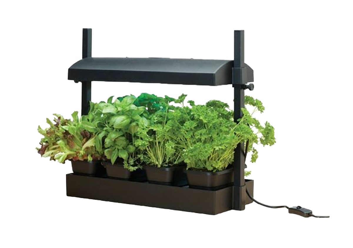 Greenhouse with Watering System and Light