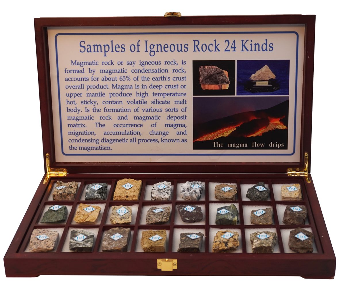 Igneous Rock Collection, 24 pcs, 5 × 4 cm