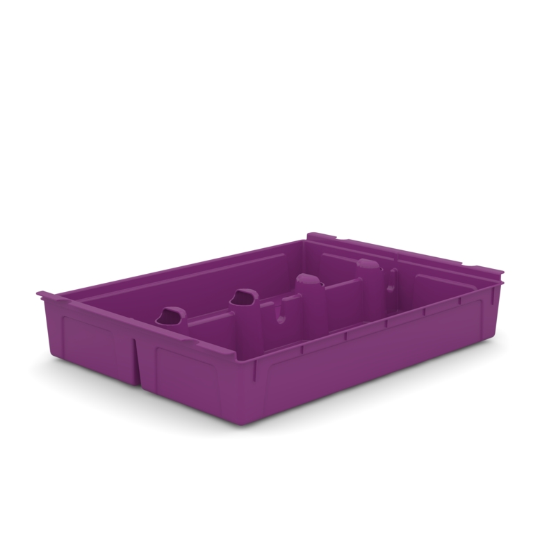 SortED liels plūmju violeta starplika