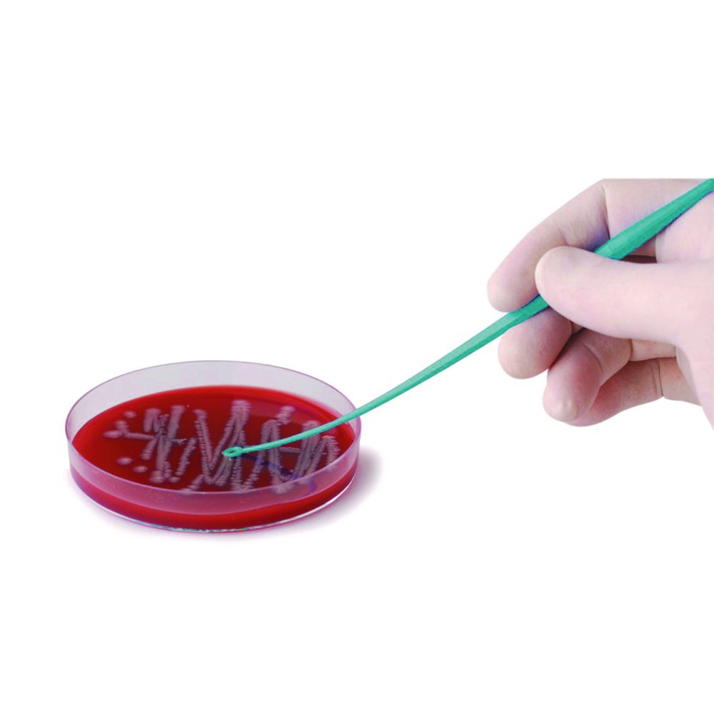 inokulācijas cilpas, PS, sterilas