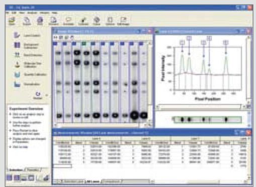 WGD20 Portable Gel Documentation System with Camera and Software